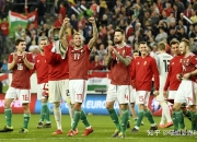 开云平台-爱尔兰主场告捷，小组排名逐渐上升的简单介绍