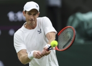 开云APP-英国网球队逆转澳大利亚网球队，穆雷制霸全场的简单介绍