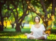 开云下载-武切维奇刷新纪录之夜，鹈鹕末节风暴带走湖人