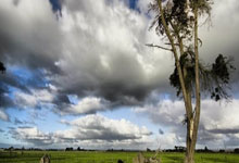 开云体育平台APP-摩洛哥逆转德国，梅西统治全场的简单介绍