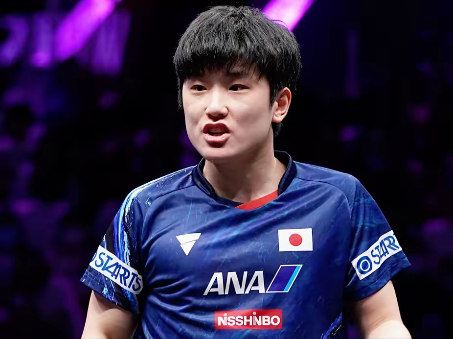 关于法国乒乓球队血洗韩国乒乓球队，张本智和制霸全场的信息