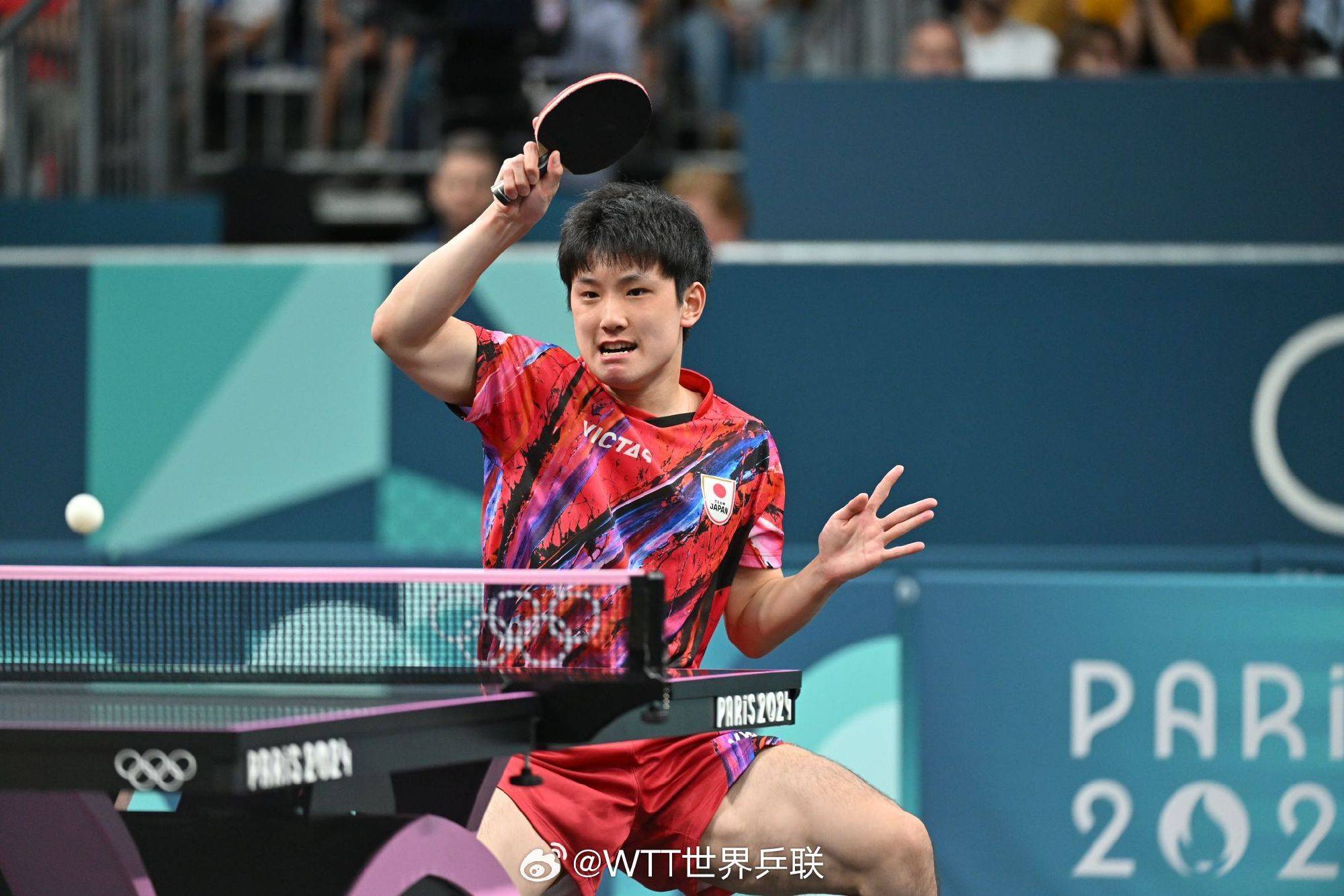 包含瑞典队鏖战波兰队，张本智和点燃赛场的词条