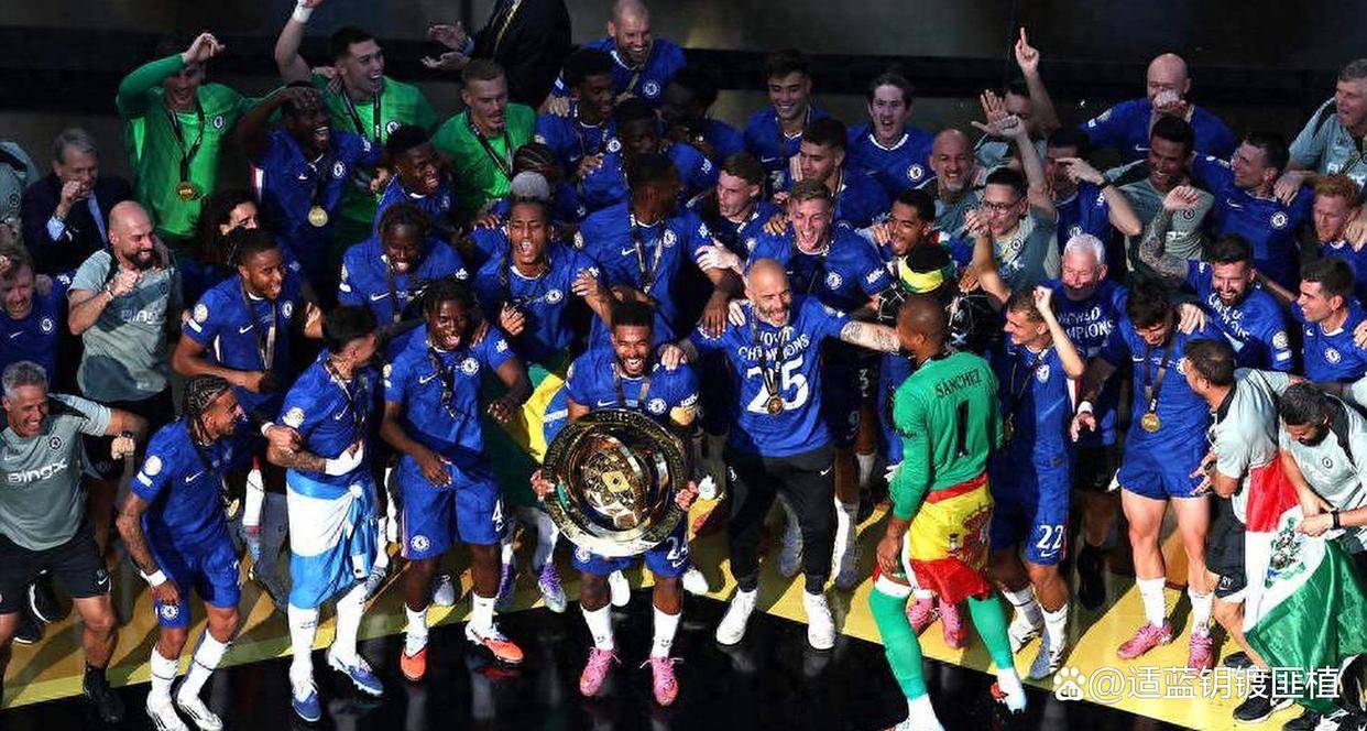 切尔西球员庆祝胜利，球迷欢呼助威的简单介绍