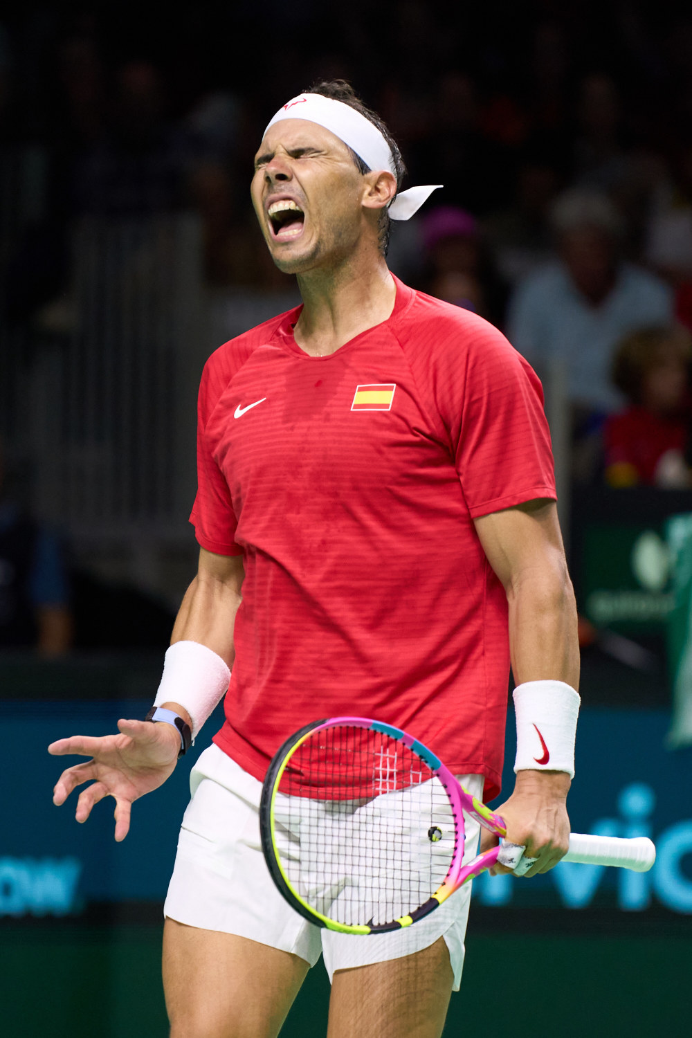 包含联合杯逆转戴维斯杯，纳达尔统治全场的词条